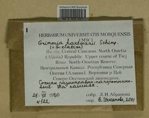 Grimmia hartmanii Schimp., Bryophytes, Bryophytes - North Caucasus & Ciscaucasia (B12) (Russia)