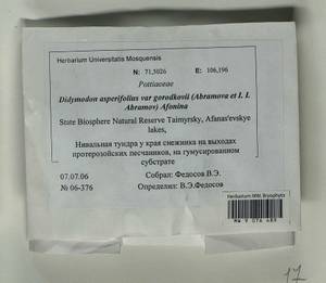 Husnotiella asperifolia (Mitt.) J.A. Jiménez & M.J. Cano, Bryophytes, Bryophytes - Krasnoyarsk Krai, Tyva & Khakassia (B17) (Russia)