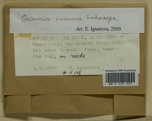 Grimmia incurva Schwägr., Bryophytes, Bryophytes - South Urals (B14) (Russia)