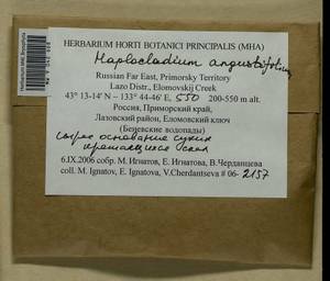 Haplocladium angustifolium (Hampe & Müll. Hal.) Broth., Bryophytes, Bryophytes - Russian Far East (excl. Chukotka & Kamchatka) (B20) (Russia)