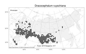 Dracocephalum ruyschiana L., Atlas of the Russian Flora (FLORUS) (Russia)