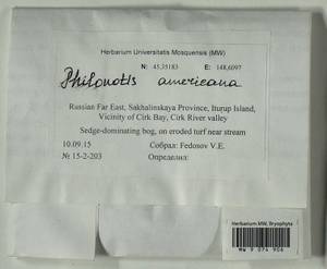 Philonotis americana Dism., Bryophytes, Bryophytes - Russian Far East (excl. Chukotka & Kamchatka) (B20) (Russia)