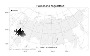 Pulmonaria angustifolia L., Atlas of the Russian Flora (FLORUS) (Russia)