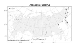 Astragalus eucosmus B.L.Rob., Atlas of the Russian Flora (FLORUS) (Russia)