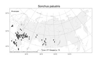Sonchus palustris L., Atlas of the Russian Flora (FLORUS) (Russia)