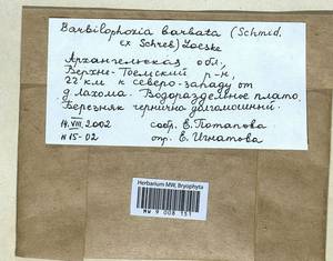 Barbilophozia barbata (Schmidel ex Schreb.) Loeske, Bryophytes, Bryophytes - European North East (B7) (Russia)