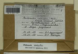 Philonotis seriata Mitt., Bryophytes, Bryophytes - Karelia, Leningrad & Murmansk Oblasts (B4) (Russia)