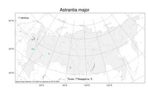 Astrantia major L., Atlas of the Russian Flora (FLORUS) (Russia)