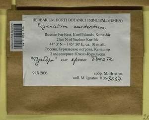 Pogonatum contortum (Menzies ex Brid.) Lesq., Bryophytes, Bryophytes - Russian Far East (excl. Chukotka & Kamchatka) (B20) (Russia)