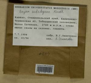 Rosulabryum moravicum (Podp.) Ochyra & Stebel, Bryophytes, Bryophytes - North Caucasus & Ciscaucasia (B12) (Russia)