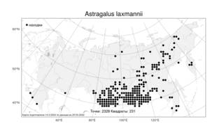 Astragalus laxmannii Jacq., Atlas of the Russian Flora (FLORUS) (Russia)