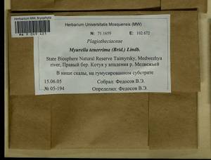 Myurella tenerrima (Brid.) Lindb., Bryophytes, Bryophytes - Krasnoyarsk Krai, Tyva & Khakassia (B17) (Russia)