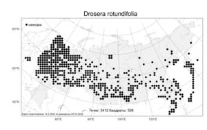 Drosera rotundifolia L., Atlas of the Russian Flora (FLORUS) (Russia)