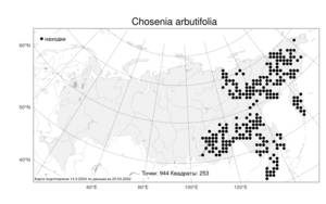 Chosenia arbutifolia (Pall.) A. K. Skvortsov, Atlas of the Russian Flora (FLORUS) (Russia)