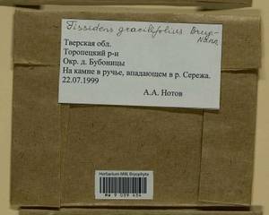 Fissidens gracilifolius Brugg.-Nann. & Nyholm, Bryophytes, Bryophytes - Middle Russia (B6) (Russia)