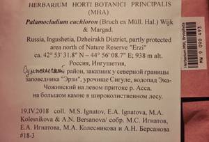 MW 9 090 493, Palamocladium euchloron (Bruch ex Müll. Hal.) Wijk & Margad., Bryophytes, Bryophytes - North Caucasus & Ciscaucasia (B12) (Russia)