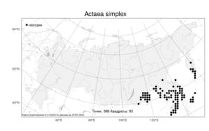 Actaea simplex (DC.) Wormsk. ex Fisch. & C. A. Mey., Atlas of the Russian Flora (FLORUS) (Russia)