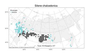Silene chalcedonica (L.) E. H. L. Krause, Atlas of the Russian Flora (FLORUS) (Russia)