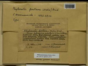 Philonotis fontana (Hedw.) Brid., Bryophytes, Bryophytes - Baikal & Transbaikal regions (B18) (Russia)