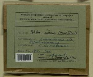 Pohlia nutans (Hedw.) Lindb., Bryophytes, Bryophytes - Central forest-and-steppe region (B10) (Russia)