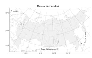 Saussurea riederi Herder, Atlas of the Russian Flora (FLORUS) (Russia)