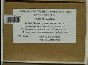 Philonotis fontana (Hedw.) Brid., Bryophytes, Bryophytes - Chukotka & Kamchatka (B21) (Russia)