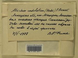 Atrichum undulatum (Hedw.) P. Beauv., Bryophytes, Bryophytes - Central forest-and-steppe region (B10) (Russia)