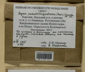 Ptychostomum pseudotriquetrum (Hedw.) J.R. Spence & H.P. Ramsay ex Holyoak & N. Pedersen, Bryophytes, Bryophytes - Karelia, Leningrad & Murmansk Oblasts (B4) (Russia)