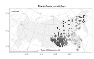 Maianthemum trifolium (L.) Sloboda, Atlas of the Russian Flora (FLORUS) (Russia)