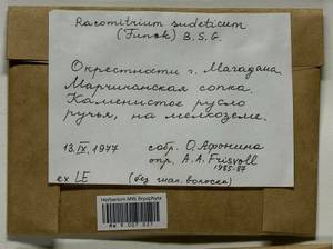 Bucklandiella sudetica (Funck) Bedn.-Ochyra & Ochyra, Bryophytes, Bryophytes - Chukotka & Kamchatka (B21) (Russia)