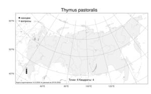 Thymus pastoralis Iljin, Atlas of the Russian Flora (FLORUS) (Russia)