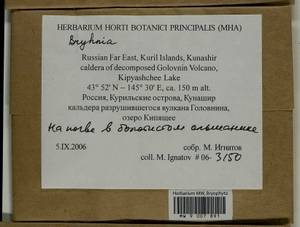 Bryhnia, Bryophytes, Bryophytes - Russian Far East (excl. Chukotka & Kamchatka) (B20) (Russia)