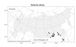 Swertia diluta (Turcz.) Benth. & Hook. fil., Atlas of the Russian Flora (FLORUS) (Russia)