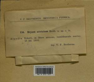 Bryum, Bryophytes, Bryophytes - Western Europe (BEu) (Finland)