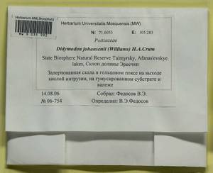 Husnotiella johansenii (R.S. Williams) J.A. Jiménez & M.J. Cano, Bryophytes, Bryophytes - Krasnoyarsk Krai, Tyva & Khakassia (B17) (Russia)