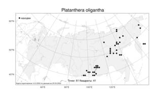 Platanthera oligantha Turcz., Atlas of the Russian Flora (FLORUS) (Russia)