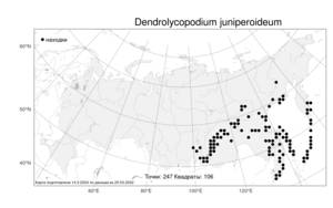 Dendrolycopodium juniperoideum (Sw.) A. Haines, Atlas of the Russian Flora (FLORUS) (Russia)