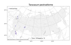 Taraxacum pectinatiforme H. Lindb., Atlas of the Russian Flora (FLORUS) (Russia)