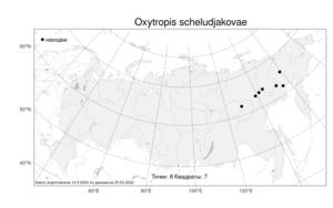Oxytropis scheludjakovae Karav. & Jurtzev, Atlas of the Russian Flora (FLORUS) (Russia)