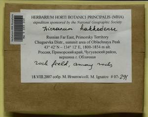 Dicranum viride var. hakkodense (Cardot) Takaki, Bryophytes, Bryophytes - Russian Far East (excl. Chukotka & Kamchatka) (B20) (Russia)