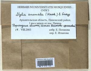 Mylia anomala (Hook.) Gray, Bryophytes, Bryophytes - European North East (B7) (Russia)