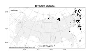 Erigeron alpicola (Makino) Makino, Atlas of the Russian Flora (FLORUS) (Russia)