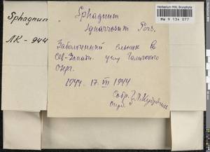 Sphagnum squarrosum Crome, Bryophytes, Bryophytes - Middle Russia (B6) (Russia)