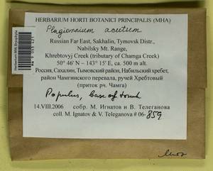 Plagiomnium acutum (Lindb.) T.J. Kop., Bryophytes, Bryophytes - Russian Far East (excl. Chukotka & Kamchatka) (B20) (Russia)