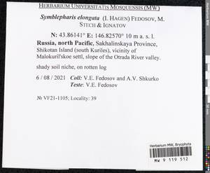 Symblepharis elongata (I. Hagen) Fedosov, M. Stech & Ignatov, Bryophytes, Bryophytes - Russian Far East (excl. Chukotka & Kamchatka) (B20) (Russia)