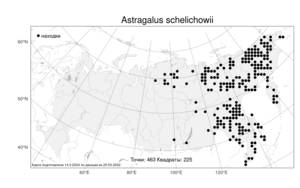 Astragalus schelichowii Turcz., Atlas of the Russian Flora (FLORUS) (Russia)