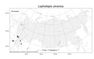 Lophiolepis ukranica (Besser ex DC.) Del Guacchio, Bures, Iamonico & P. Caputo, Atlas of the Russian Flora (FLORUS) (Russia)