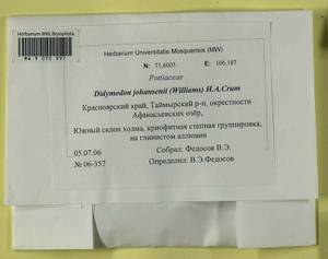 Husnotiella johansenii (R.S. Williams) J.A. Jiménez & M.J. Cano, Bryophytes, Bryophytes - Krasnoyarsk Krai, Tyva & Khakassia (B17) (Russia)