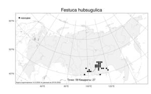 Festuca hubsugulica Krivot., Atlas of the Russian Flora (FLORUS) (Russia)