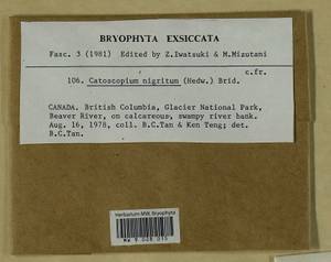 Catoscopium nigritum (Hedw.) Brid., Bryophytes, Bryophytes - America (BAm) (Canada)